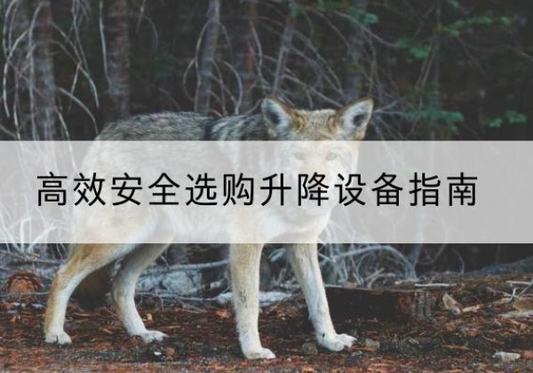 金安升降货梯厂家推荐-*安全选购升降设备指南