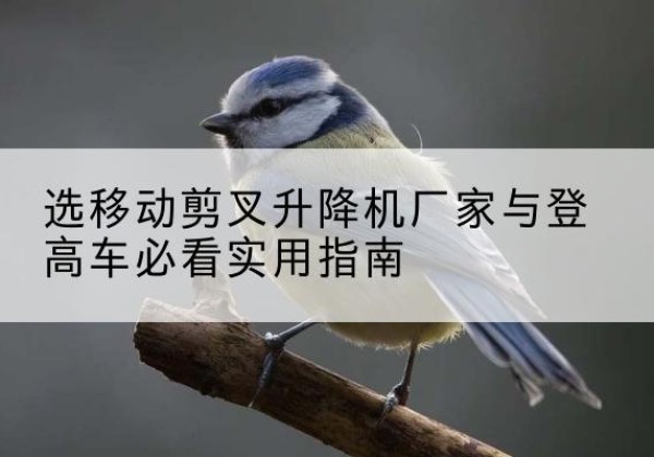 金安电动升降机厂家-选移动剪叉升降机厂家与登高车必看实用指南
