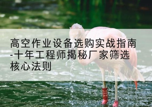金安剪叉式升降机厂家-高空作业设备选购实战指南-十年工程师揭秘厂家筛选核心法则